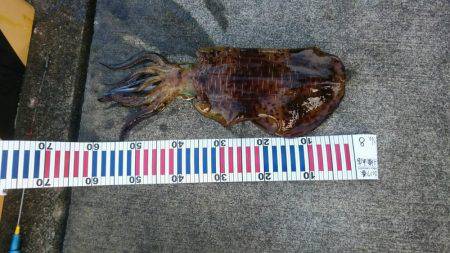 大潮の満月狙いで行って来ました。