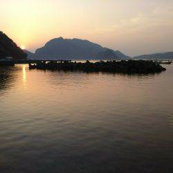 ライトロック調査