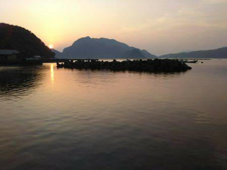 ライトロック調査