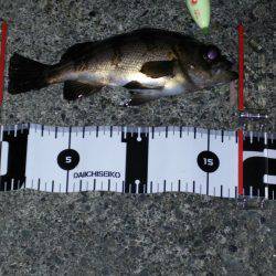 大きな水溜まり