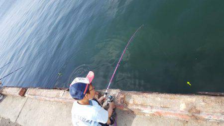 子供とサビキ釣り♪