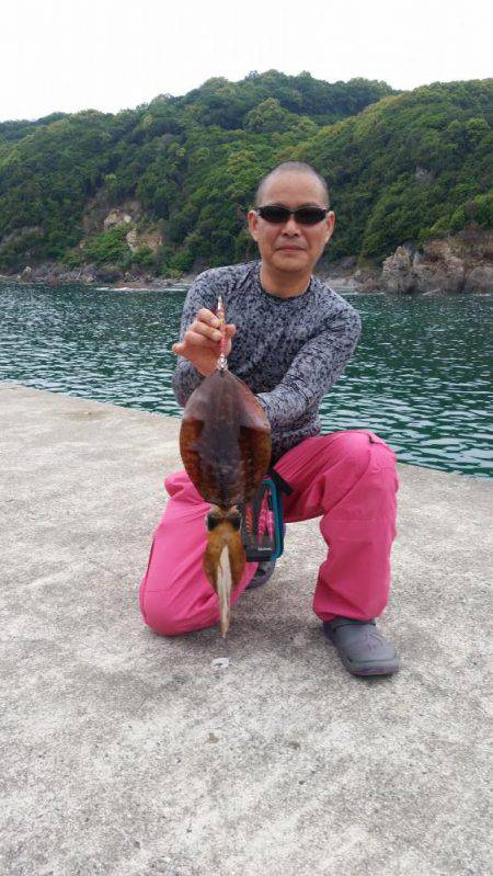 エギングとキス