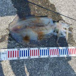 今季自己ベスト