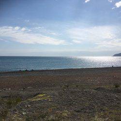 色々釣れました