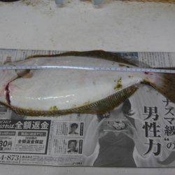 ひらめゲットだぜ!!