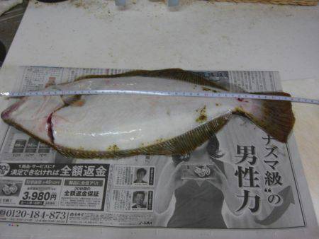 ひらめゲットだぜ！！