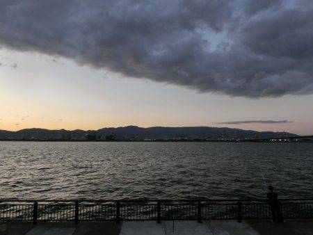 メバルはそろそろ終わりか？