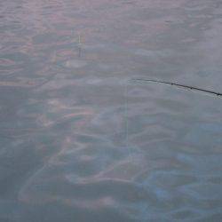 久しぶりに香住にアジ釣り。