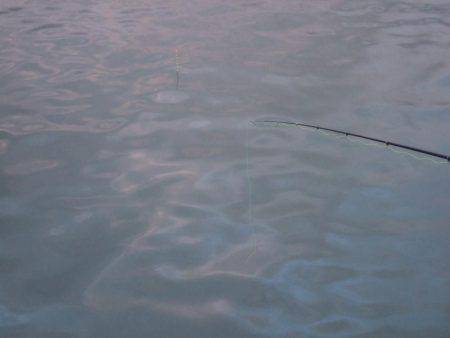 久しぶりに香住にアジ釣り。