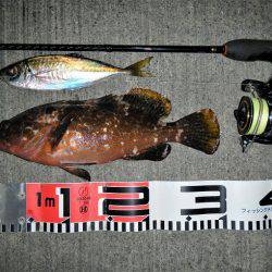 最後に、ドンっ