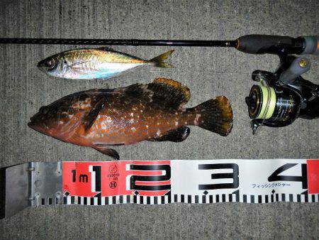 最後に、ドンっ