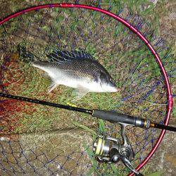 超短時間チニング