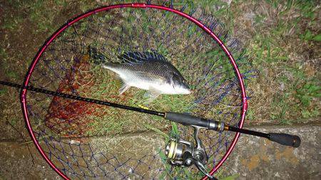 超短時間チニング