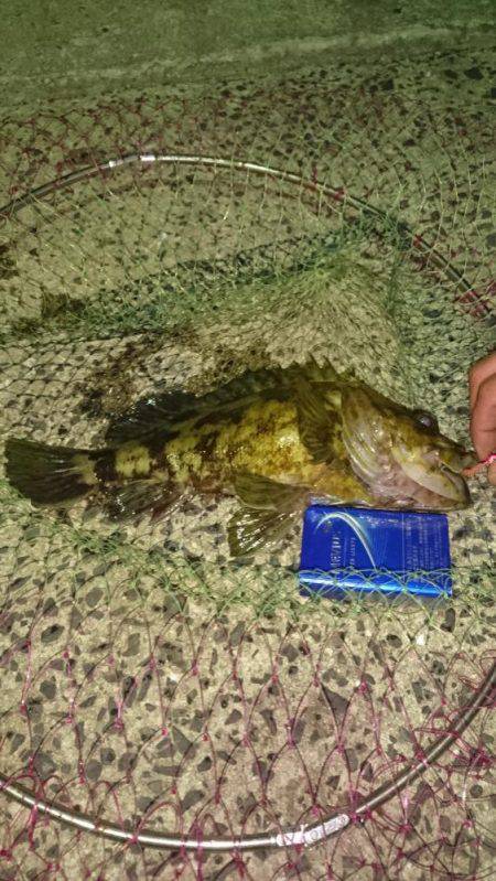 ガシラ32㎝を筆頭に