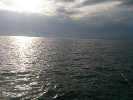 ジャンボ釣りたい