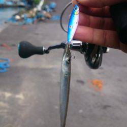 佐喜浜から恵比須浜まで