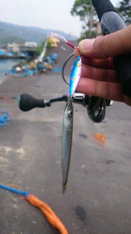 佐喜浜から恵比須浜まで