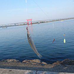 キス釣りスタート