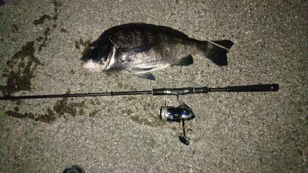 マニックでチヌ