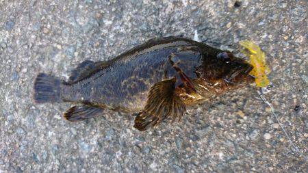 ゴールデンウィーク最終日諦めの悪い奴