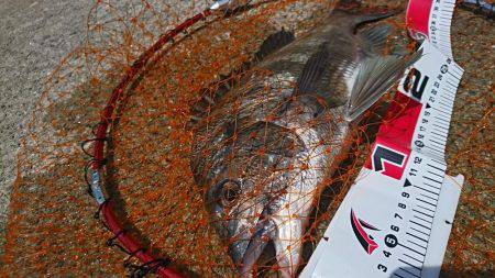 ノッコミ終盤まだいける❗