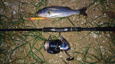 久しぶりのランカー