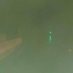 連夜のメバリング