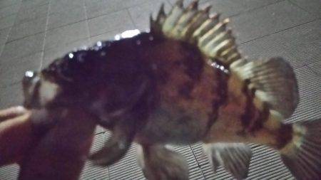 初投稿してみました!!