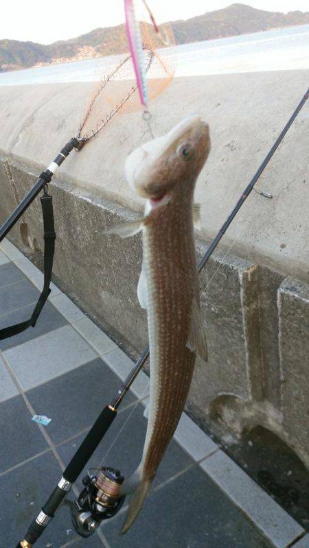 意外なゲストが