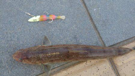 ヘビーワインド