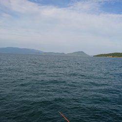 胴突きで根魚釣り