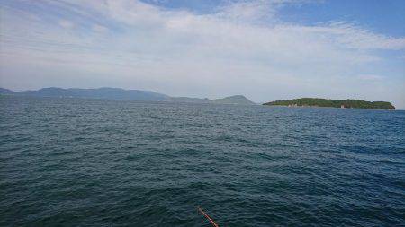 胴突きで根魚釣り