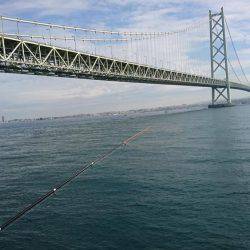 明石海峡大橋の下で根魚釣り