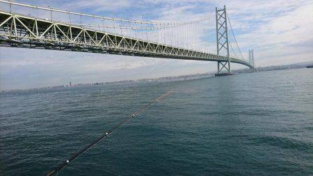 明石海峡大橋の下で根魚釣り