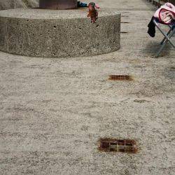 引き続き 胴突きで根魚釣り