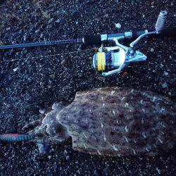 サーフでキロアップモンゴー