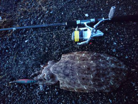 サーフでキロアップモンゴー