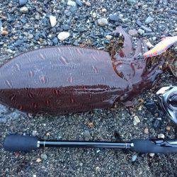 雨後のサーフエギング