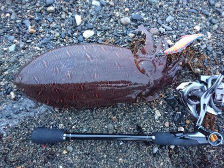 雨後のサーフエギング