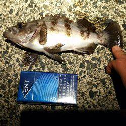 サーフでガツンっ！