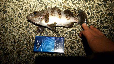 サーフでガツンっ！