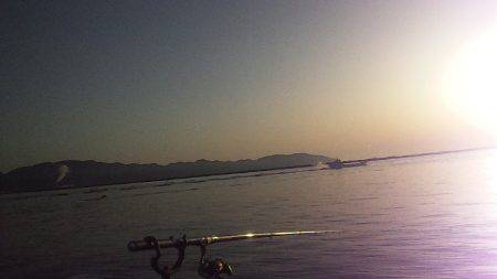 朝マズメ アジ調査