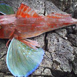 初釣果 海底を歩くヤツ