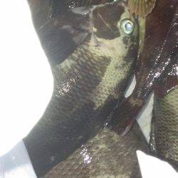 南芦屋浜石畳開幕戦