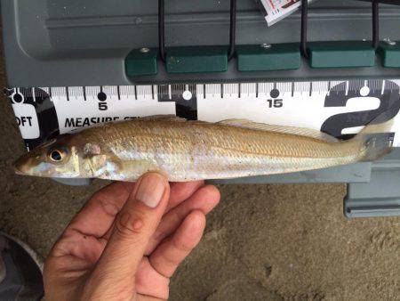 キスちょい投げ