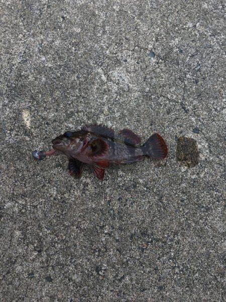 ファミリーフィッシング