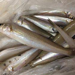 今シーズン 初キス!