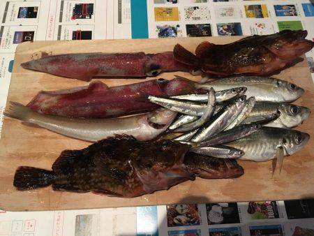 穴釣り、エギング