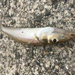 キスは足元に！