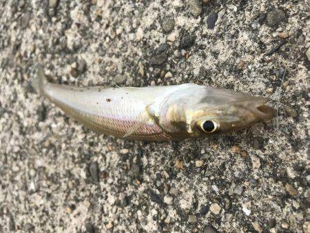 キスは足元に！